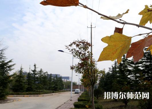 陜西中醫(yī)藥師范大學(xué)南校區(qū)2023年報(bào)名條件、招生要求、招生對(duì)象