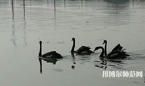 浙江師范大學(xué)行知學(xué)院蘭溪校區(qū)2023年怎么樣、好不好