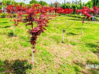 漢中職業(yè)技術(shù)師范學(xué)院2023年怎么樣、好不好