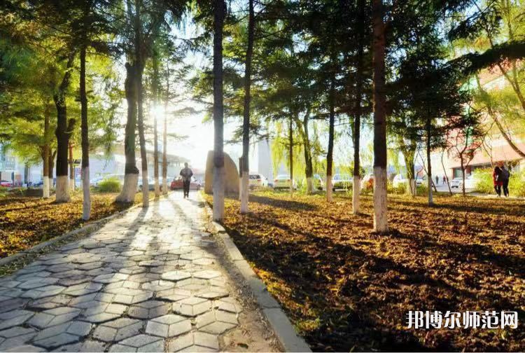 長春大學師范學院主校區(qū)2023年報名條件、招生要求、招生對象