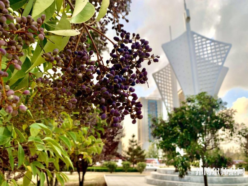 煙臺理工師范學院2023年有哪些專業(yè) 
