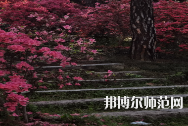 信陽(yáng)師范學(xué)院華銳學(xué)院2023年報(bào)名條件、招生要求、招生對(duì)象