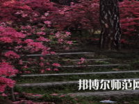 信陽(yáng)師范學(xué)院華銳學(xué)院2023年報(bào)名條件、招生要求、招生對(duì)象