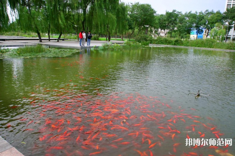 濰坊科技師范學(xué)院2023年怎么樣、好不好 
