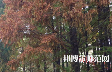 信陽(yáng)師范學(xué)院2023年怎么樣、好不好