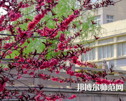 蘇州科技師范大學(xué)天平學(xué)院2023年報(bào)名條件、招生要求、招生對(duì)象