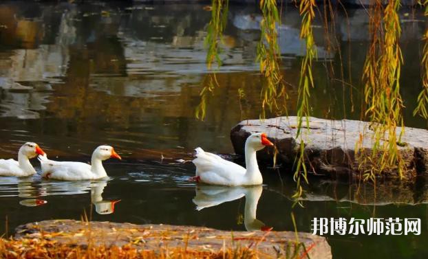 山東財(cái)經(jīng)師范大學(xué)萊蕪校區(qū)2023年報(bào)名條件、招生要求、招生對象 