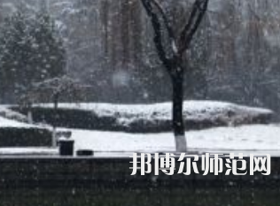 焦作師范高等?？茖W(xué)校2023年招生代碼