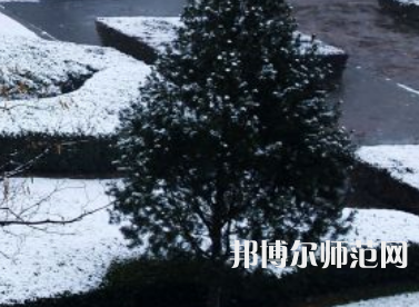 焦作師范高等?？茖W(xué)校2023年報(bào)名條件、招生要求、招生對(duì)象