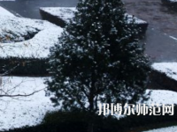 焦作師范高等?？茖W(xué)校2023年報(bào)名條件、招生要求、招生對象