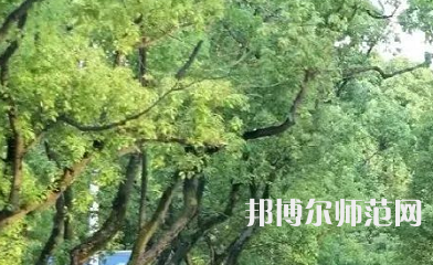 湖南理工師范學(xué)院南湖學(xué)院2023年報(bào)名條件、招生要求、招生對(duì)象