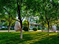 山東財(cái)經(jīng)師范大學(xué)圣井校區(qū)2023年怎么樣、好不好