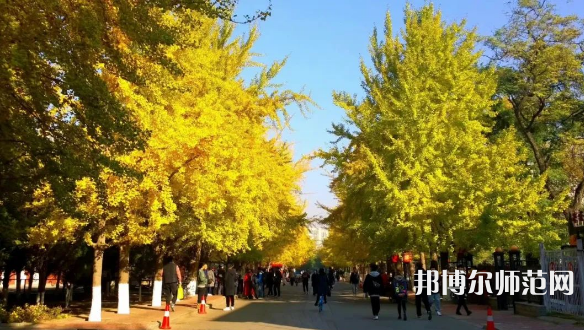 遼寧大學(xué)師范學(xué)院崇山校區(qū)2023年報(bào)名條件、招生要求、招生對(duì)象