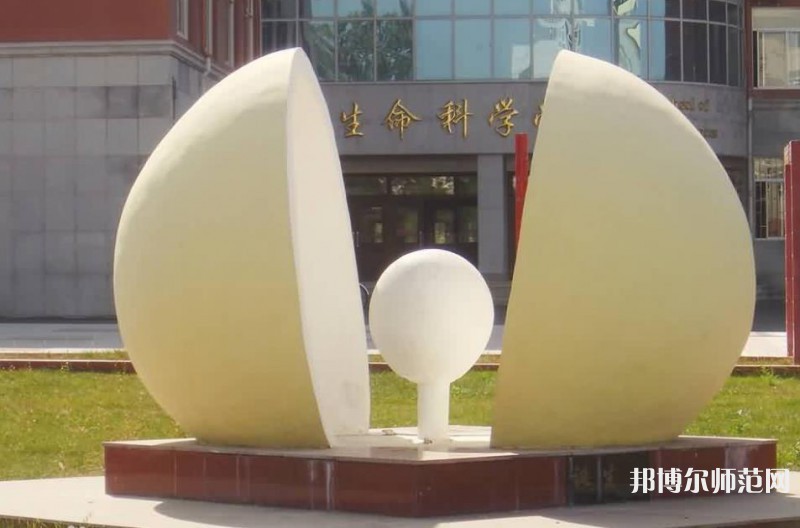 東北師范大學2023年網(wǎng)站網(wǎng)址