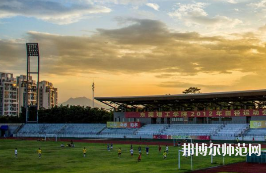 東莞理工師范學(xué)院松山湖校區(qū)2023年有哪些專(zhuān)業(yè)