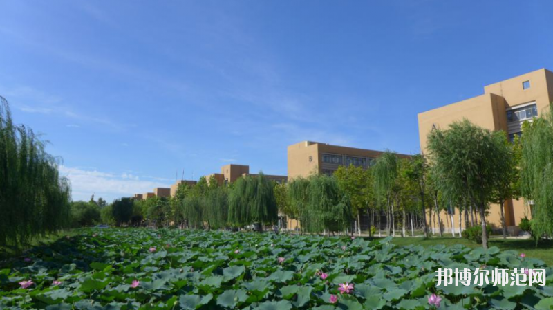 東營(yíng)職業(yè)師范學(xué)院2023年報(bào)名條件、招生要求、招生對(duì)象 