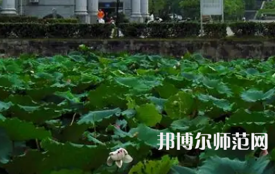南華師范大學(xué)紅湘校區(qū)2023年報(bào)名條件、招生要求、招生對(duì)象