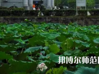 南華師范大學(xué)紅湘校區(qū)2023年報(bào)名條件、招生要求、招生對(duì)象