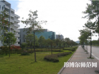 重慶文理師范學(xué)院紅河校區(qū)2023年報名條件、招生要求、招生對象