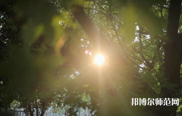 咸陽(yáng)職業(yè)技術(shù)師范學(xué)院2023年報(bào)名條件、招生要求、招生對(duì)象