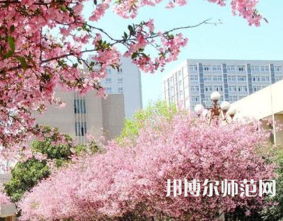 中國礦業(yè)師范大學(xué)徐海學(xué)院2023年報名條件、招生要求、招生對象