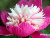 海南師范大學(xué)2023年報(bào)名條件、招生要求、招生對(duì)象