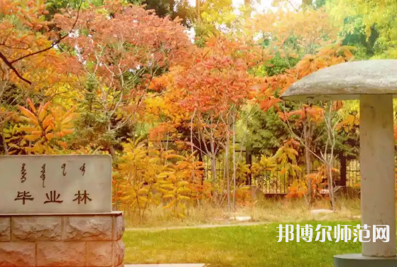 內(nèi)蒙古大學師范學院滿洲里學院2023年怎么樣、好不好