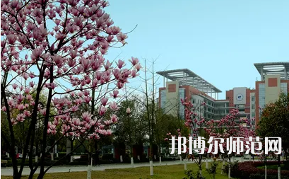 長江師范學(xué)院2023年報(bào)名條件、招生要求、招生對象 