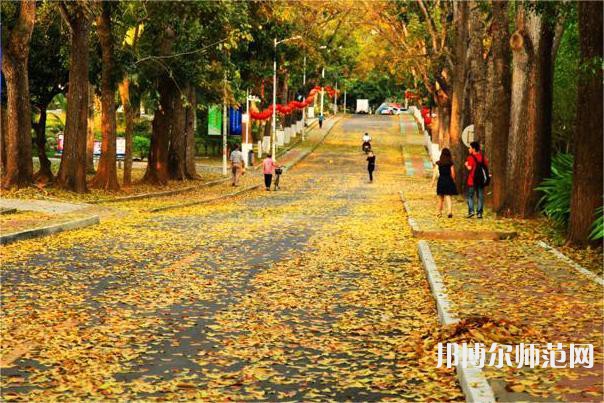 海南大學師范學院海甸校區(qū)2023年報名條件、招生要求、招生對象 