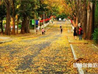 海南大學(xué)師范學(xué)院海甸校區(qū)2023年報(bào)名條件、招生要求、招生對(duì)象