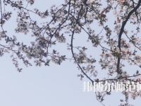 湖南第一師范學(xué)院城南書院校區(qū)2023年學(xué)費、收費多少