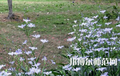 湖南第一師范學(xué)院城南書院校區(qū)2023年怎么樣、好不好