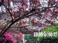 湖南第一師范學院城南書院校區(qū)2023年怎么樣、好不好