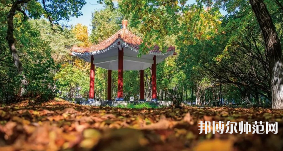 黑龍江師范大學(xué)2023年報(bào)名條件、招生要求、招生對(duì)象 