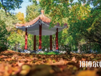 黑龍江師范大學(xué)2023年報(bào)名條件、招生要求、招生對象