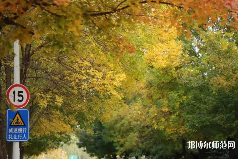 濟(jì)南幼兒師范高等?？茖W(xué)校2023年有哪些專業(yè)