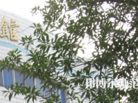 湖南師范大學(xué)樹(shù)達(dá)學(xué)院2023年怎么樣、好不好