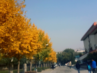 西北師范大學(xué)2023年怎么樣、好不好
