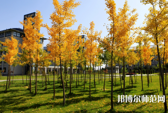 瀘州啟明幼師職業(yè)技術學校2023年學費、收費多少