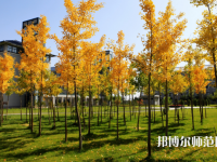 瀘州啟明幼師職業(yè)技術(shù)學(xué)校2023年怎么樣、好不好