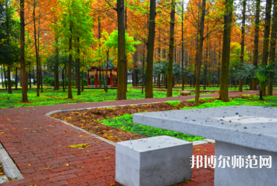 長(zhǎng)江大學(xué)文理學(xué)院2023年怎么樣、好不好