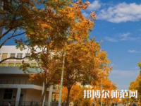 南京師范大學(xué)泰州學(xué)院2023年報名條件、招生要求、招生對象