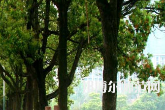 衡陽師范學(xué)院南岳學(xué)院2023年怎么樣、好不好