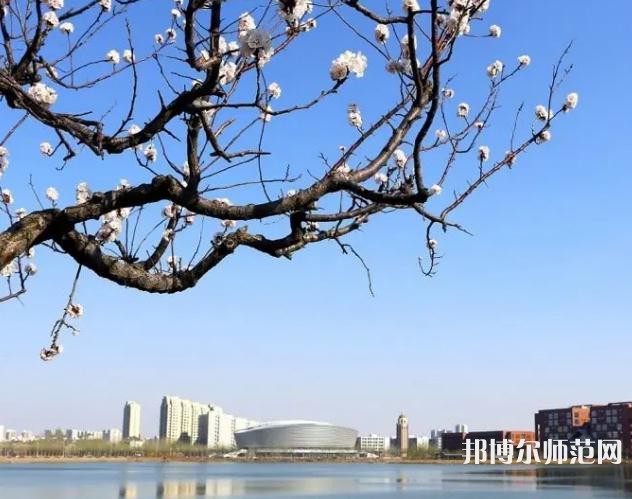天津理工師范大學(xué)2023年報名條件、招生要求、招生對象