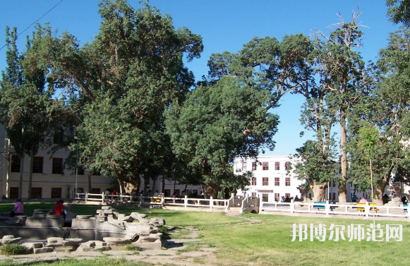 喀什師范大學(xué)東城校區(qū)2023年有哪些專(zhuān)業(yè)