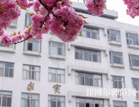 淮陰師范學(xué)院2023年報(bào)名條件、招生要求、招生對(duì)象
