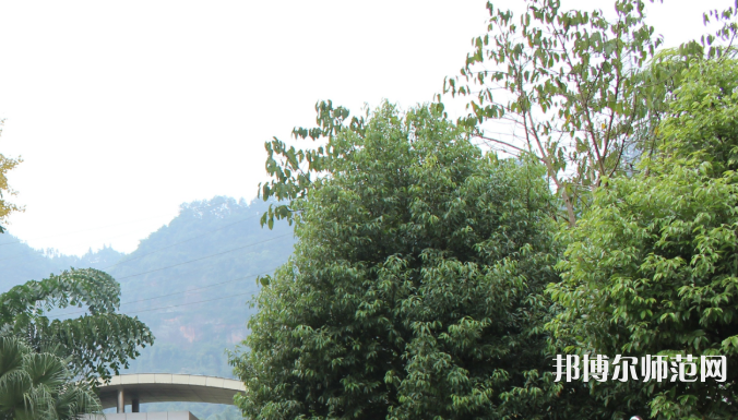 自貢大安幼師職業(yè)技術(shù)學(xué)校2023年學(xué)費、收費多少