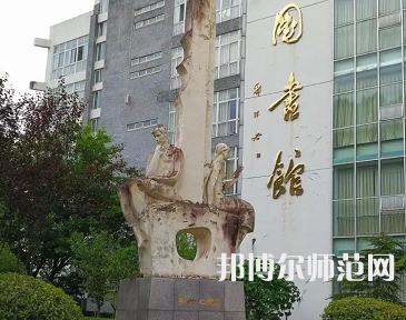 四川職業(yè)技術(shù)師范學院2023年招生代碼