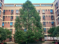 四川師范大學(xué)成都學(xué)院眉山校區(qū)2023年怎么樣、好不好