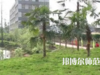 2023年瀘州天宇幼師中等職業(yè)技術(shù)學(xué)校報名條件、招生對象